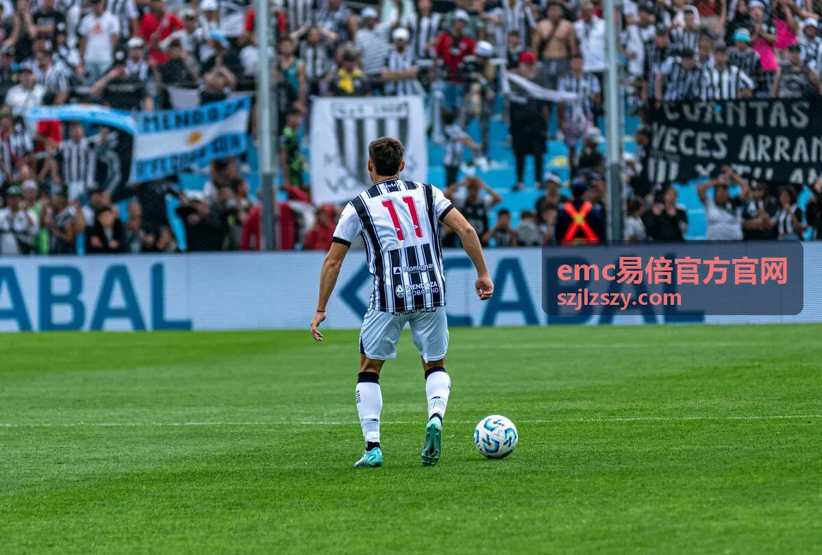 emc易倍官方官网电竞娱乐服务
